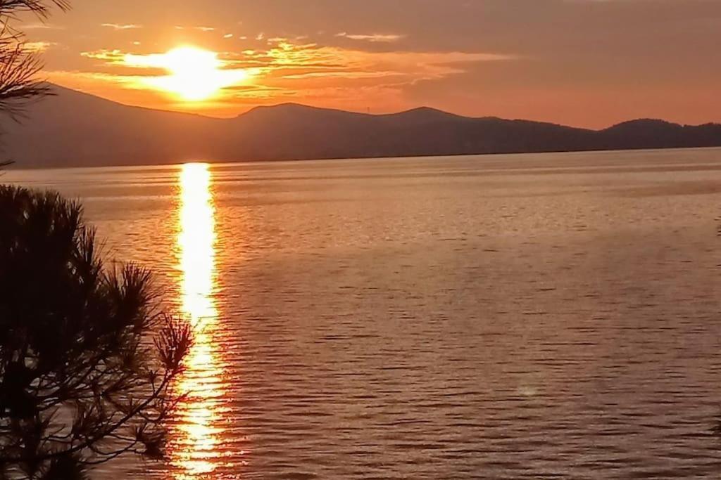 Zadar Center Beach Apartment - Directly On The Sea Eksteriør bilde
