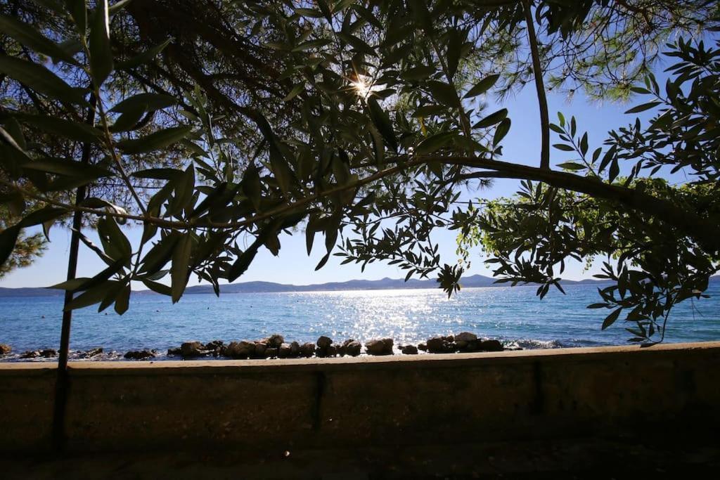 Zadar Center Beach Apartment - Directly On The Sea Eksteriør bilde